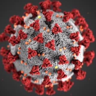 The virus that causes COVID-19